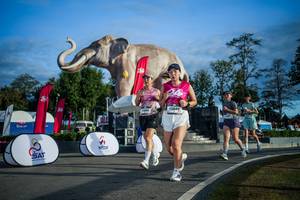 BIB: 
                            <button type="button" onclick="openModal(26541739)" class="btn btn-primary btn-sm float-right btn-popup" data-toggle="modal" data-target=".modal-high-quality">
                        <i class="fas fa-shopping-cart"></i> Add to Cart
                    </button>
                                            <button type="button" onclick="isThisMe(26541739, true)" class="btn btn-success btn-sm float-right btn-popup btn-isme hidden" data-toggle="tooltip" data-placement="bottom" title="นี่คือรูปของคุณใช่ไหม คลิกที่นี่เพื่อเอาเข้าอัลบั้ม">
                        <i class="fas fa-plus"></i> Add to album
                    </button>
                    <button type="button" onclick="isThisMe(26541739, false)" class="btn btn-warning btn-sm float-right btn-popup btn-isnotme hidden">
                        <i class="fas fa-ban"></i> Remove from album
                    </button>